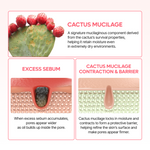 كريم Dr.Melaxin Cactox الكبسولى الثنائى لعلاج المسامات — ٦٥ جم