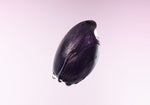 سيروم Eqqualberry Purple PDRN لتصغير المسامات — ٣٠ مل